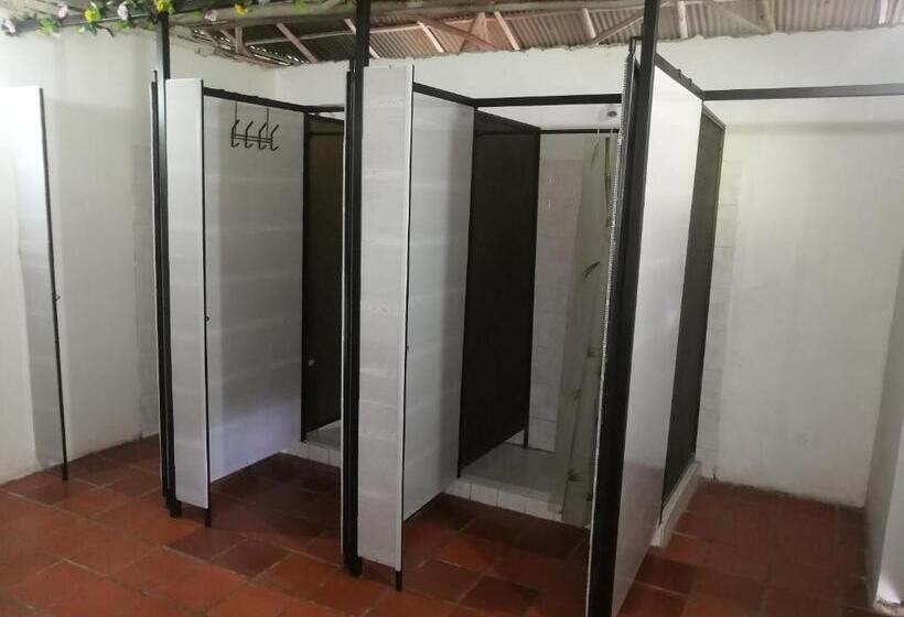 بنسيون Nuestro Bosque I