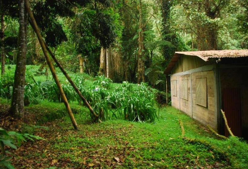 بنسيون Nuestro Bosque I