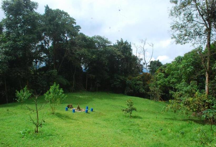 بنسيون Nuestro Bosque I