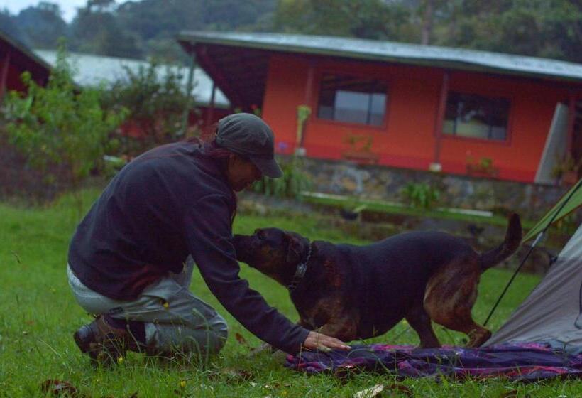 بنسيون Nuestro Bosque I