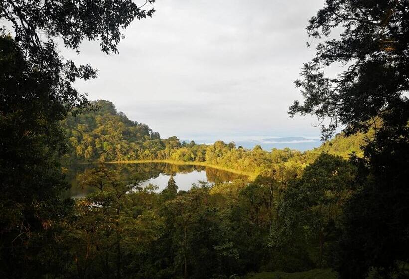 بنسيون Nuestro Bosque I