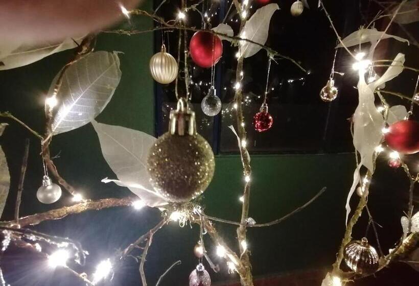 بنسيون Nuestro Bosque I