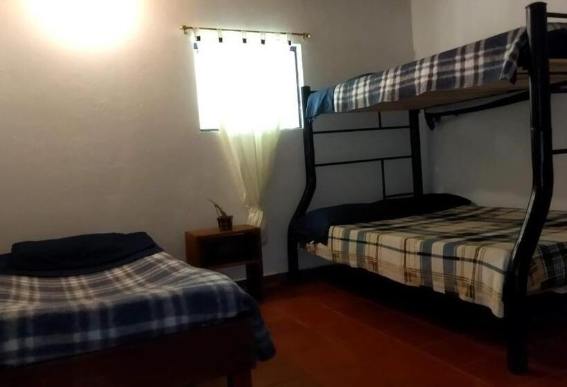 بنسيون Nuestro Bosque I