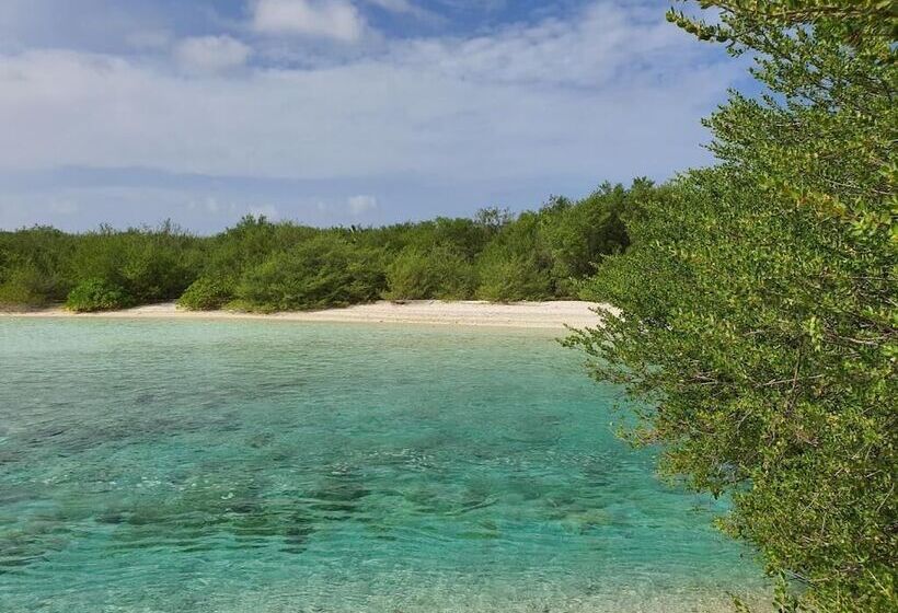 پانسیون Orimas Retreat