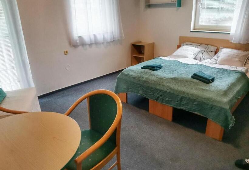 פנסיון Penzion Pastviny