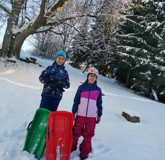 פנסיון Penzion Pastviny