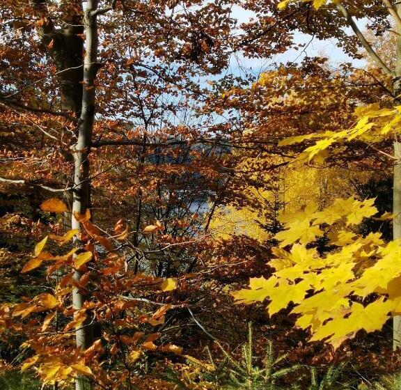 פנסיון Penzion Pastviny