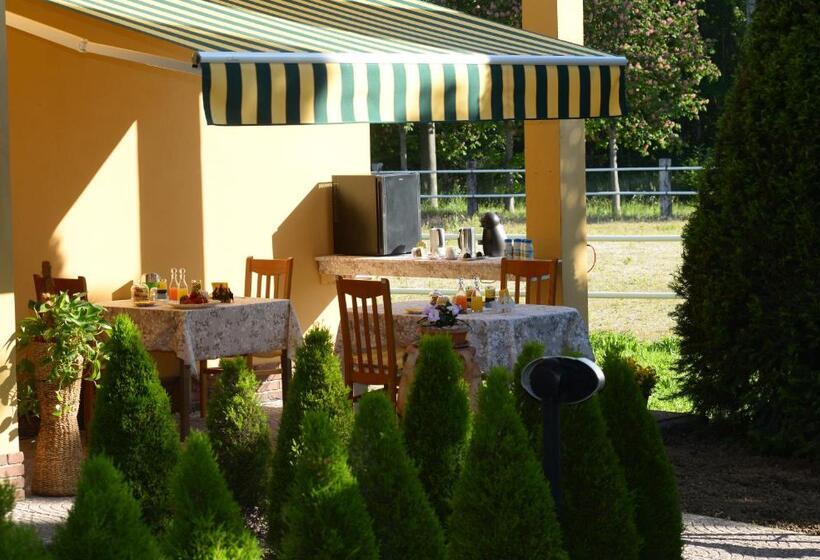 פנסיון Pidkova