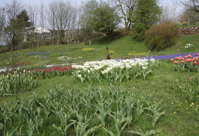 膳宿费 Rowrah Hall