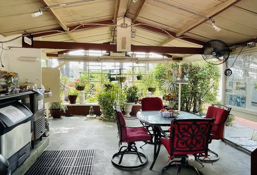 فندق Barefoot Mailman Inn & Suites