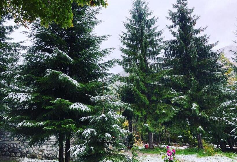 민박 Guest House Hyrmet Demushi