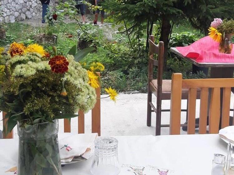 تختخواب و صبحانه Guest House Hyrmet Demushi