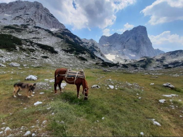 민박 Guest House Hyrmet Demushi
