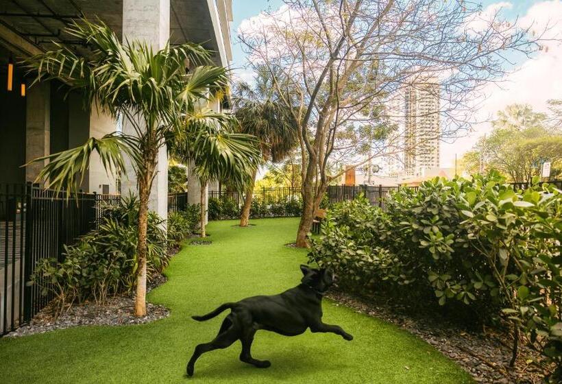 Flow Fort Lauderdale