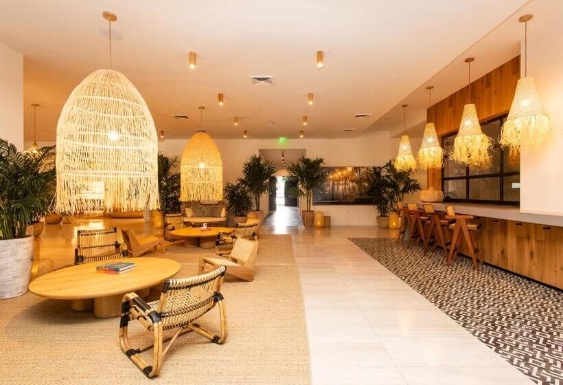 Flow Fort Lauderdale