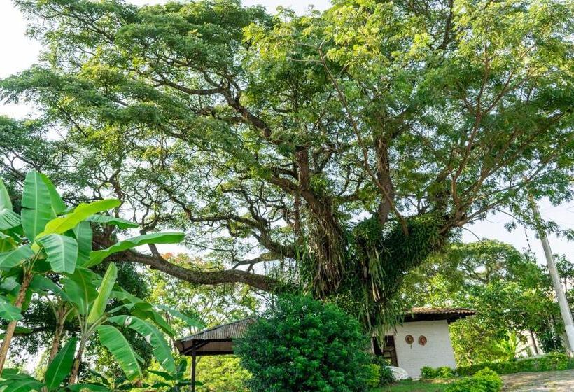 فندق Casa El Limonar Garzón Hospedaje Campestre