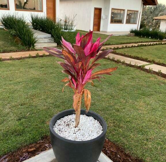 酒店 Pousada Pé Da Serra