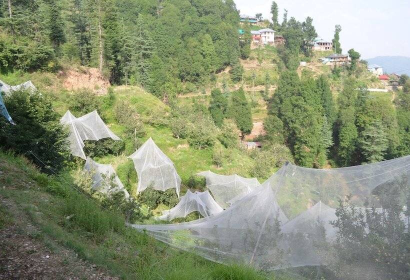 ホテル Hari Om Paradise