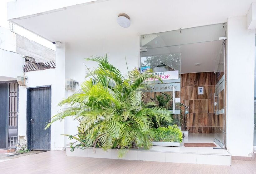 酒店 Millrose Valledupar