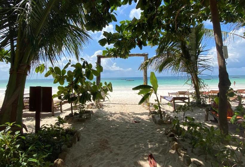 Отель Mobydick Lodge