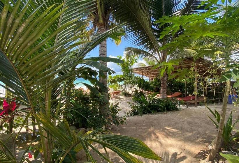 Отель Mobydick Lodge