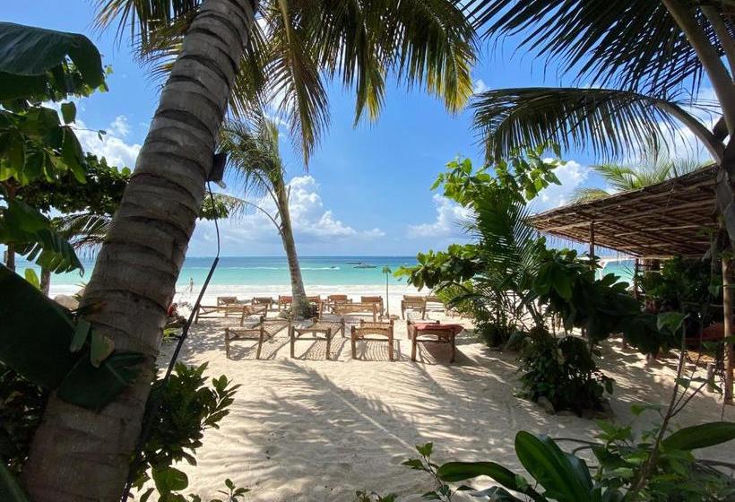 Отель Mobydick Lodge