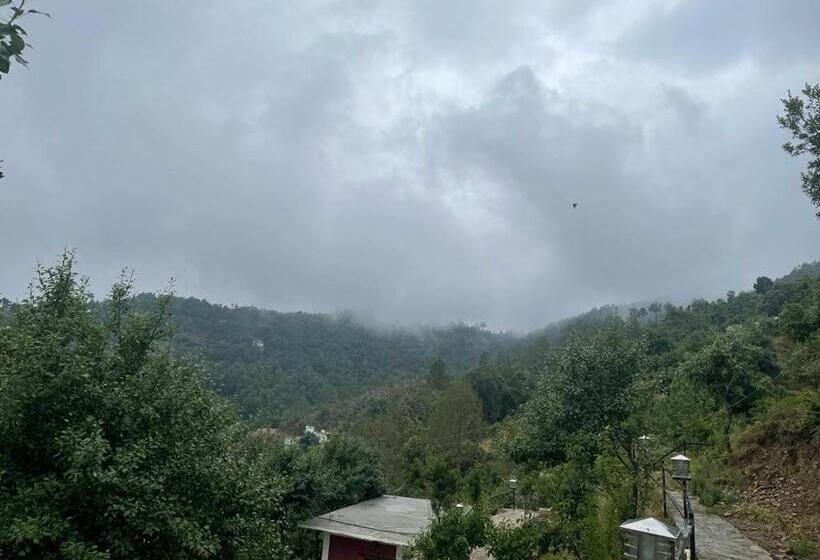 בית מלון כפרי Orchard Hill Retreat