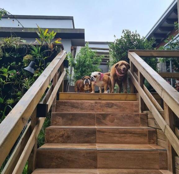 فندق Refugio Dos Coiotes