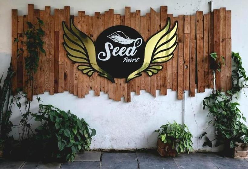 בית מלון כפרי Seed Resort