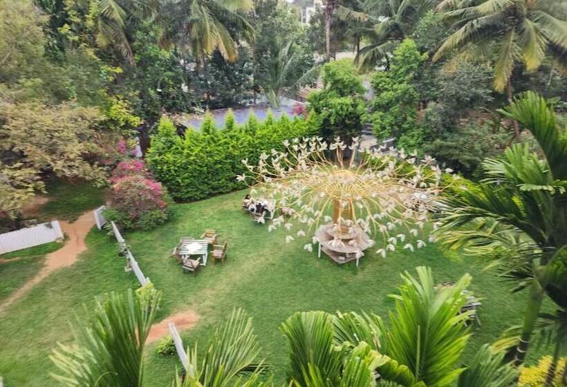 בית מלון כפרי Seed Resort