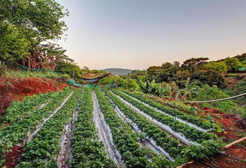 فندق Treebo La Paradise