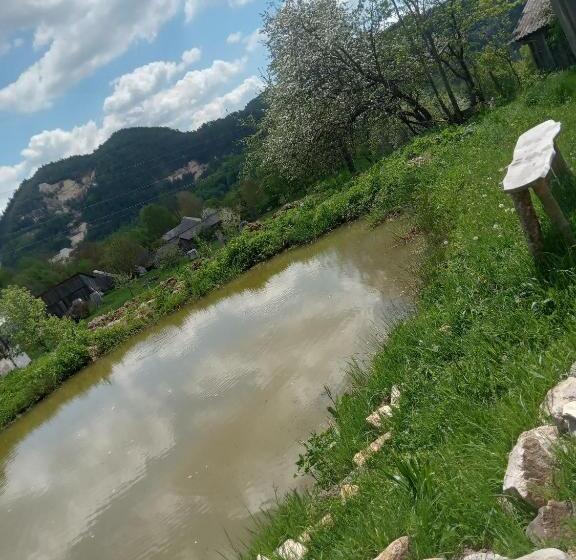 膳宿费 Room In Guest Room Sejour In Green Garden With Lake View For 2 People