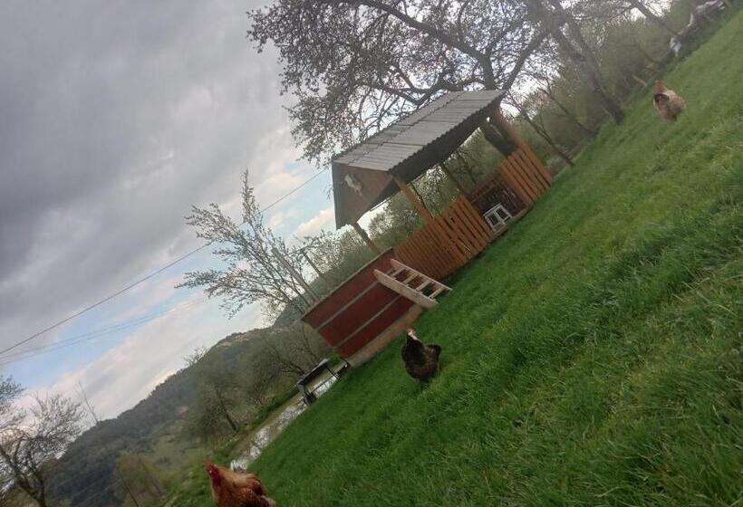 膳宿费 Room In Guest Room Sejour In Green Garden With Lake View For 2 People