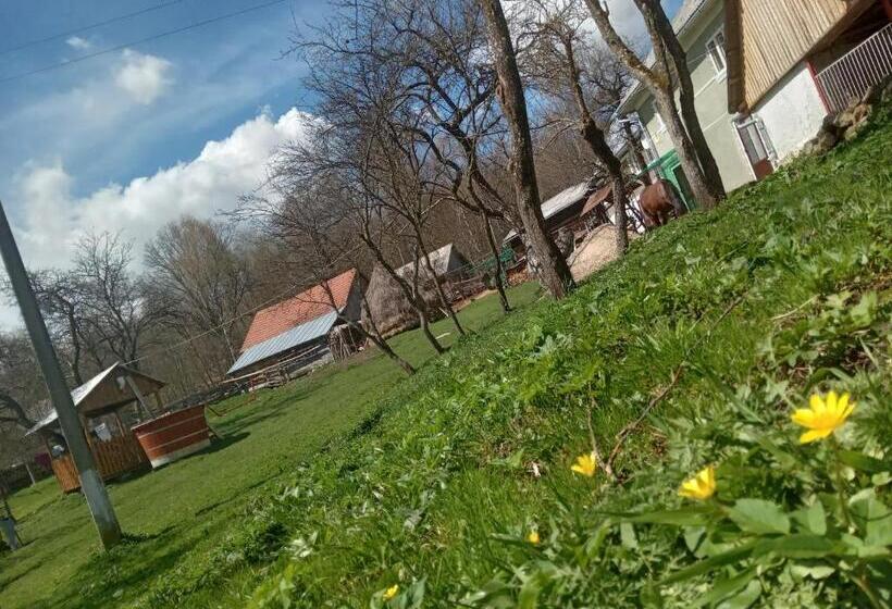 膳宿费 Room In Guest Room Sejour In Green Garden With Lake View For 2 People