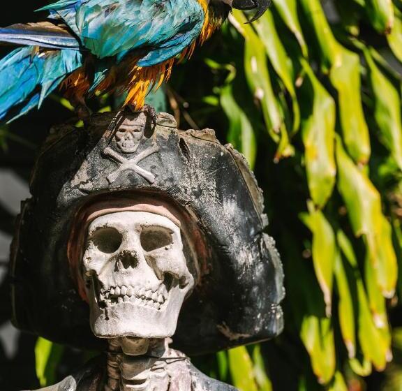 Flow Fort Lauderdale