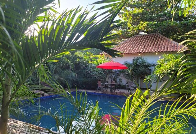 هاستل Hostal Hilltop Palomino