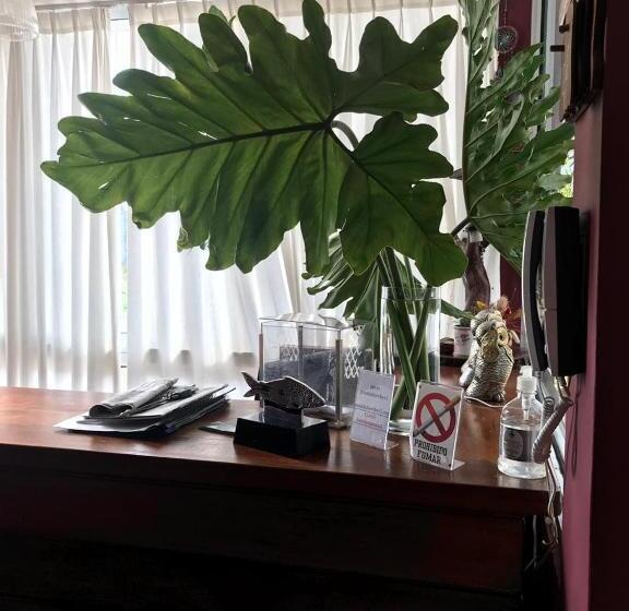 هاستل Posada Bambys