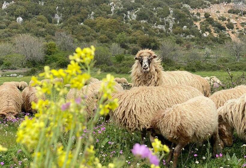 住宿加早餐  Areti Rooms