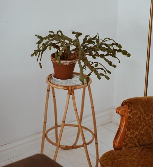 住宿加早餐 Axatorpsgården