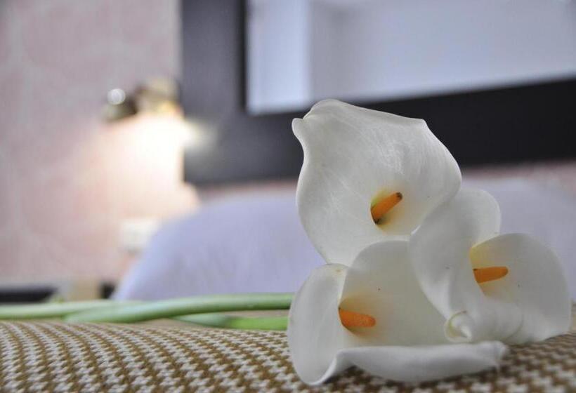 مبيت وإفطار Casa Mendilore