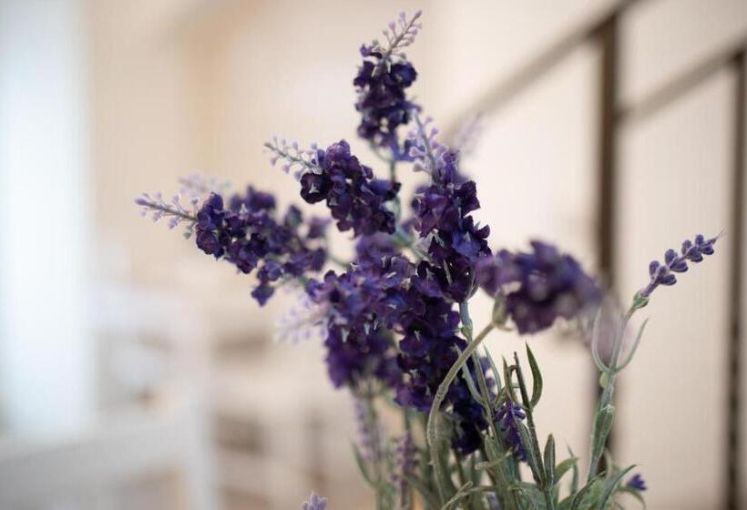 مبيت وإفطار Essenza