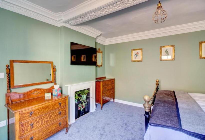 צימר The Green Parrot