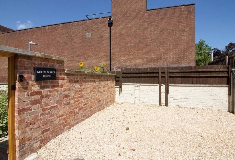 צימר The Green Parrot