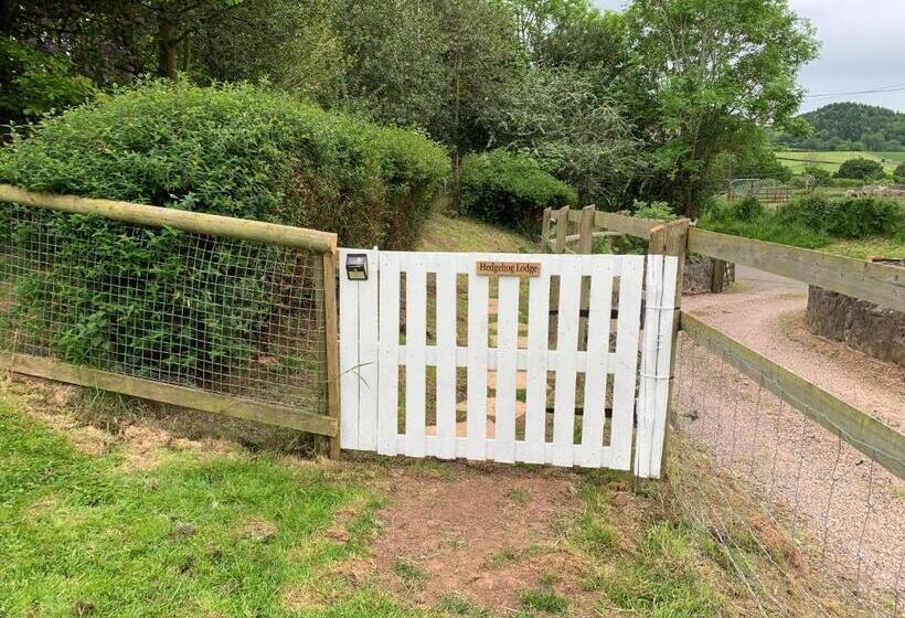 住宿加早餐  Hedgehog Lodge