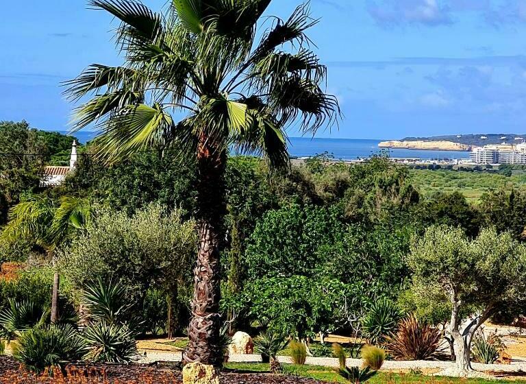 住宿加早餐  Monte Da Saudade