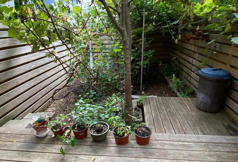 مبيت وإفطار Northern Lights Mansion