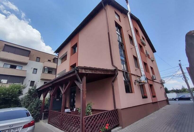 Bed and Breakfast Pensiunea Elena