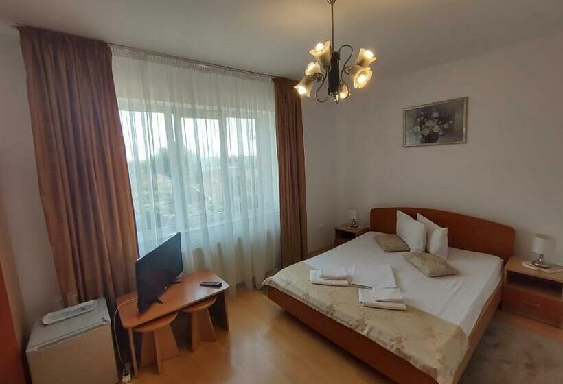 Bed and Breakfast Pensiunea Elena