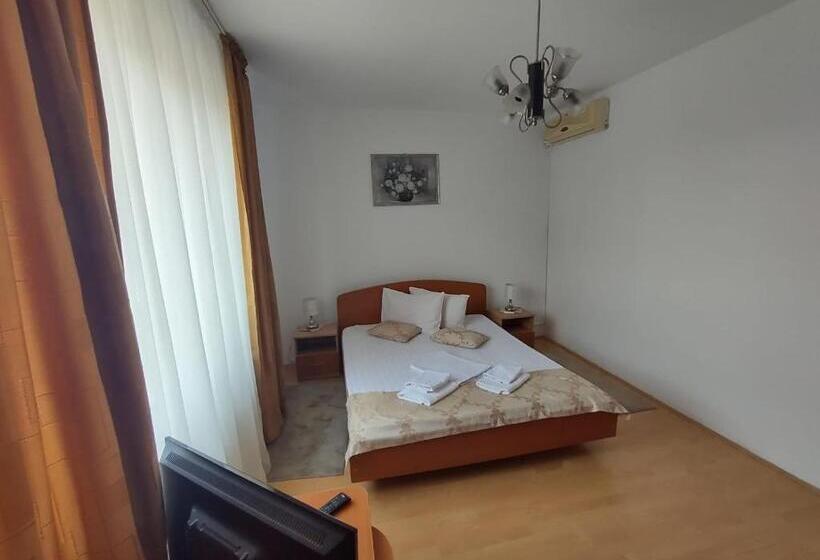 Bed and Breakfast Pensiunea Elena