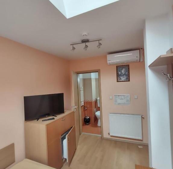 Bed and Breakfast Pensiunea Elena